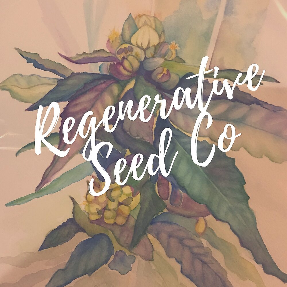 Regenerative Seed Co