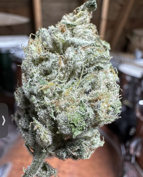 Frezca