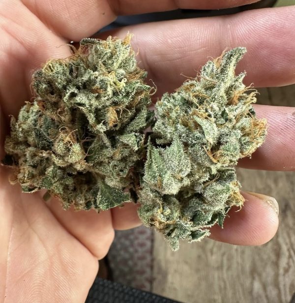 Frezca - Image 2